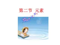 化学八年级全册第二节 元素课文配套ppt课件