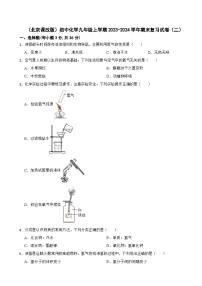 （北京课改版）初中化学九年级上学期2023-2024学年期末复习试卷（二）