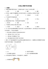 河南省洛阳市2023年九年级上学期月考化学试题（附答案）