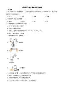 湖南省湘西州2023年九年级上学期学情诊断化学试题（附答案）