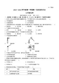 陕西省咸阳市秦都区方圆学校2023-2024学年九年级上学期10月月考化学试题