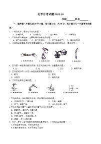 山东省乐陵市开元中学2023-2024学年九年级上学期10月月考化学试题