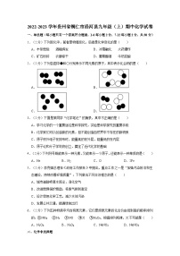 贵州省铜仁市沿河县2022-2023学年九年级上学期期中化学试卷