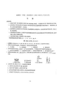 四川省成都市龙泉驿区师一中学校2022-2023学年九年级5月月考化学试题（图片版无答案）