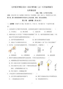 四川省成都七中育才学校2023-2024学年九年级上学期10月定时练习化学试卷