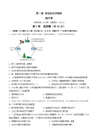 【期中单元测试卷】（沪教版・全国）2023-2024学年九年级上册化学 第二章+身边的化学物质【提升卷】