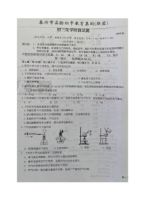 江苏省泰兴市实验初中教育集团（联盟）2023-2024学年九年级上学期阶段测试化学试卷