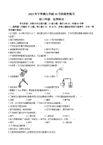 湖南省长沙市雨花区雅礼实验中学、西雅中学2023-2024学年九年级上学期第一次月考化学试题(无答案)