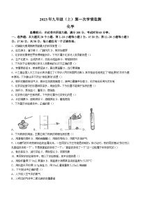 湖南省邵阳市新邵县思源实验学校2023-2024学年九年级上学期10月月考化学试题