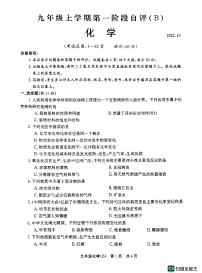 河南省安阳市林州市2023-2024学年九年级上学期10月月考化学试题