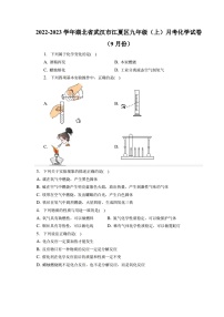 2022-2023学年湖北省武汉市江夏区九年级（上）月考化学试卷1（9月份）（含答案解析）