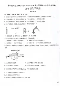 山东省枣庄市市中区乡镇中学2023-2024学年九年级上学期10月月考化学试题