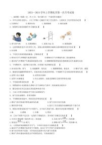 河南郑州市登封市嵩阳中学2023-2024学年九年级上学期第一次月考化学试卷