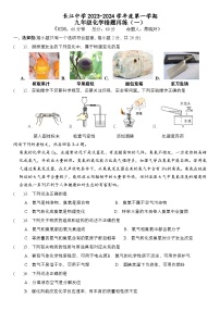 江苏省启东市长江中学2023-2024学年九年级上学期10月月考化学试题