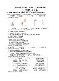 江苏省连云港市灌云县西片2023-2024学年九年级上学期月考化学试题（月考）