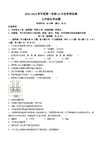 山东省济宁市金乡县2023-2024学年九年级上学期10月月考化学试题（月考）