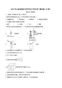 2023年山东省临沂市罗庄区中考化学二模试卷（B卷）