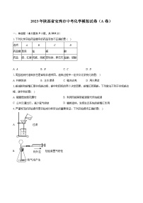 2023年陕西省宝鸡市中考化学模拟试卷（A卷）