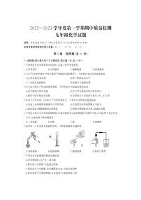 湖北省武汉市江汉区2022-2023学年九年级上学期期中考试化学试卷（含答案解析）