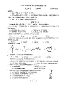 江苏省苏州西安交通大学附属中学2023-2024学年九年级化学第一次月考试卷