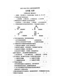 河南省郑州市新郑市苑陵中学2023-2024学年九年级上学期学情调研化学试卷（月考）