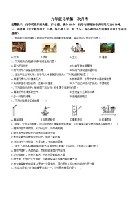 安徽省宣城市宁国市开发区实验学校2023-2024学年九年级上学期第一次素质诊断化学试题（月考）