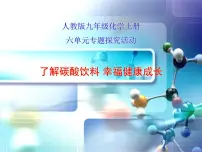 人教版九年级上册实验活动2 二氧化碳的实验室制取与性质教学课件ppt