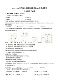 湖北省孝感市汉川市五校教联体2023-2024学年九年级上学期10月月考化学试题(无答案)