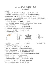 河南省濮阳市清丰县2022-2023 学年第一学期期末考试试卷九年级化学