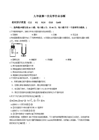 山东省新泰市青云中学2023-2024学年九年级上学期10月月考化学试题