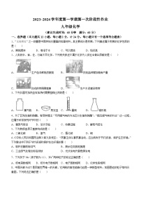 陕西省榆林市佳县店镇中学2023-2024学年九年级上学期第一次月考化学试题