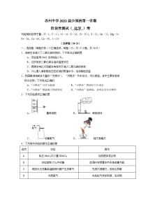 江苏省苏州中学校2023-2024学年九年级（海创优少预班）上学期10月阶段性测试化学试卷（月考）