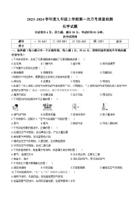 河南省信阳市平桥区2023-2024学年九年级上学期10月月考化学试题