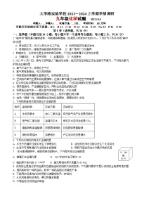 江苏省徐州市大学路实验学校2023-2024学年九年级上学期10月学情调研化学试卷（月考）