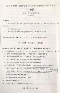 辽宁省沈阳市2023-2024学年九年级上学期10月月考化学试题