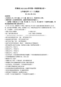 河南省驻马店市泌阳县光亚学校2023-2024学年九年级上学期10月月考化学试题