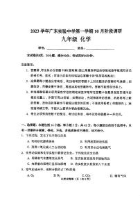 广东省实验中学2023-2024学年九年级上学期10月阶段性考试化学试卷