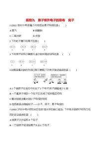 题组九　原子核外电子的排布　离子 课时练 2023-2024人教版化学九年级上册