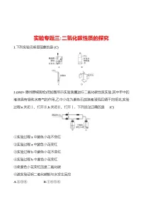 实验专题三：二氧化碳性质的探究 同步练习2023-2024 鲁教版化学 八年级全一册
