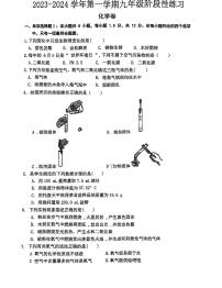 广东省深圳市龙岗区石芽岭学校2023-2024学年九年级上学期阶段性练习化学试卷（月考）