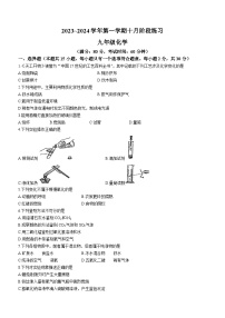 江苏省南京市鼓楼区实验中学2023-2024学年九年级上学期10月月考化学试题(无答案)