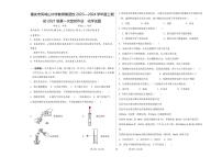 重庆市凤鸣山中学集团校2023-2024学年九年级上学期10月月考（第一次定时作业）化学试题（月考）