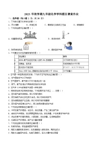 江苏省盐城市亭湖新区初级中学2023-2024学年九年级上学期10月月考化学试题