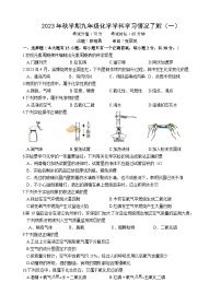 江苏省盐城市毓龙路实验学校2023-2024学年九年级上学期10月月考化学试题