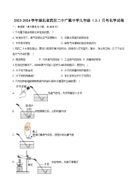 2023-2024学年湖北省武汉二中广雅中学九年级（上）月考化学试卷（含解析）