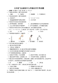 江苏省盐城市大丰区飞达路初级中学2023-2024学年九年级上学期10月月考化学试题