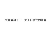 科粤版九年级化学下册专题复习11  关于化学式的计算课时训练课件PPT