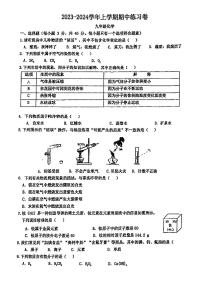 广东省江门市怡福中学2023-2024学年九年级上学期第一次月考化学试题