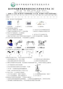 江苏省泰州市泰兴市西城教育集团西城校区2023-2024学年九年级上学期10月份双休日化学作业（月考）