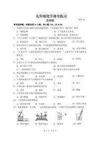 江苏省扬州市高邮市城北中学2023-2024学年九年级上学期10月月考化学试题